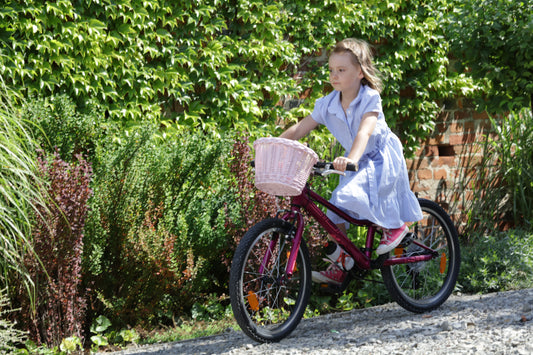 Paulus wiklinowy koszyczek rowerowy z paskami TheWickerStories