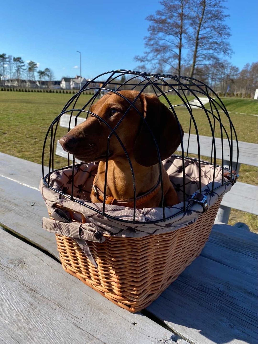 Timoria wiklinowy kosz na rower dla zwierząt z beżowym obszyciem, z pokrywą i skórzanymi paskami TheWickerStories