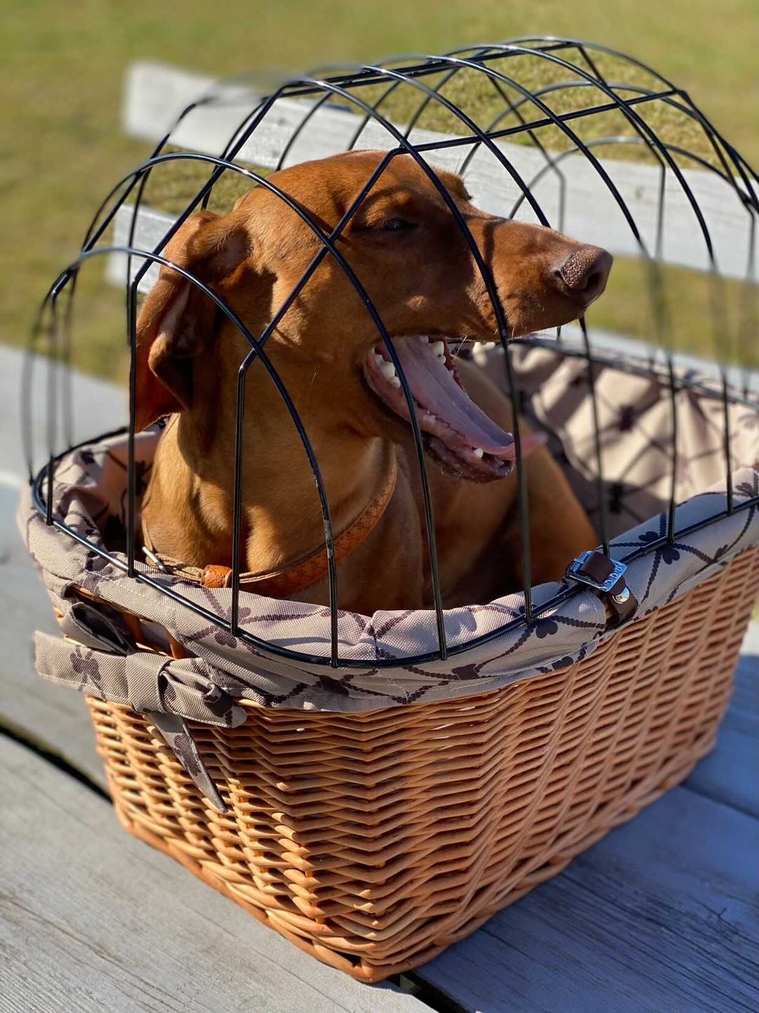 Timoria wiklinowy kosz na rower dla zwierząt z beżowym obszyciem, z pokrywą i skórzanymi paskami TheWickerStories