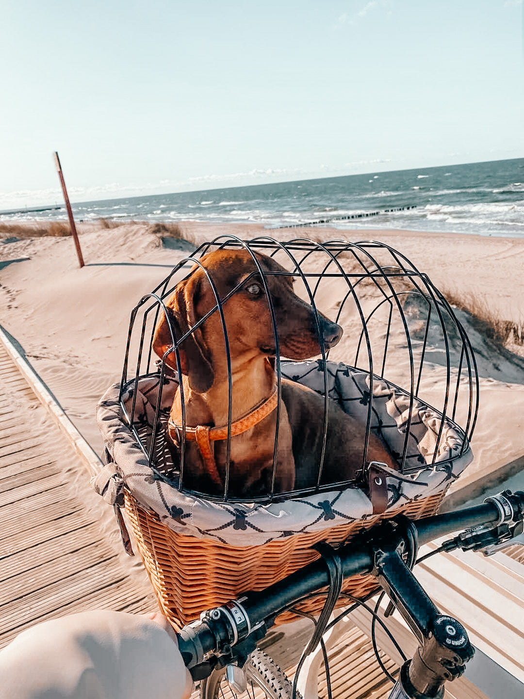 Timoria wiklinowy kosz na rower dla zwierząt z beżowym obszyciem, z pokrywą i skórzanymi paskami TheWickerStories