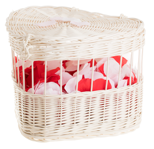 Tivara Wiklinowy transporter dla gołębi z pokrywą TheWickerStories