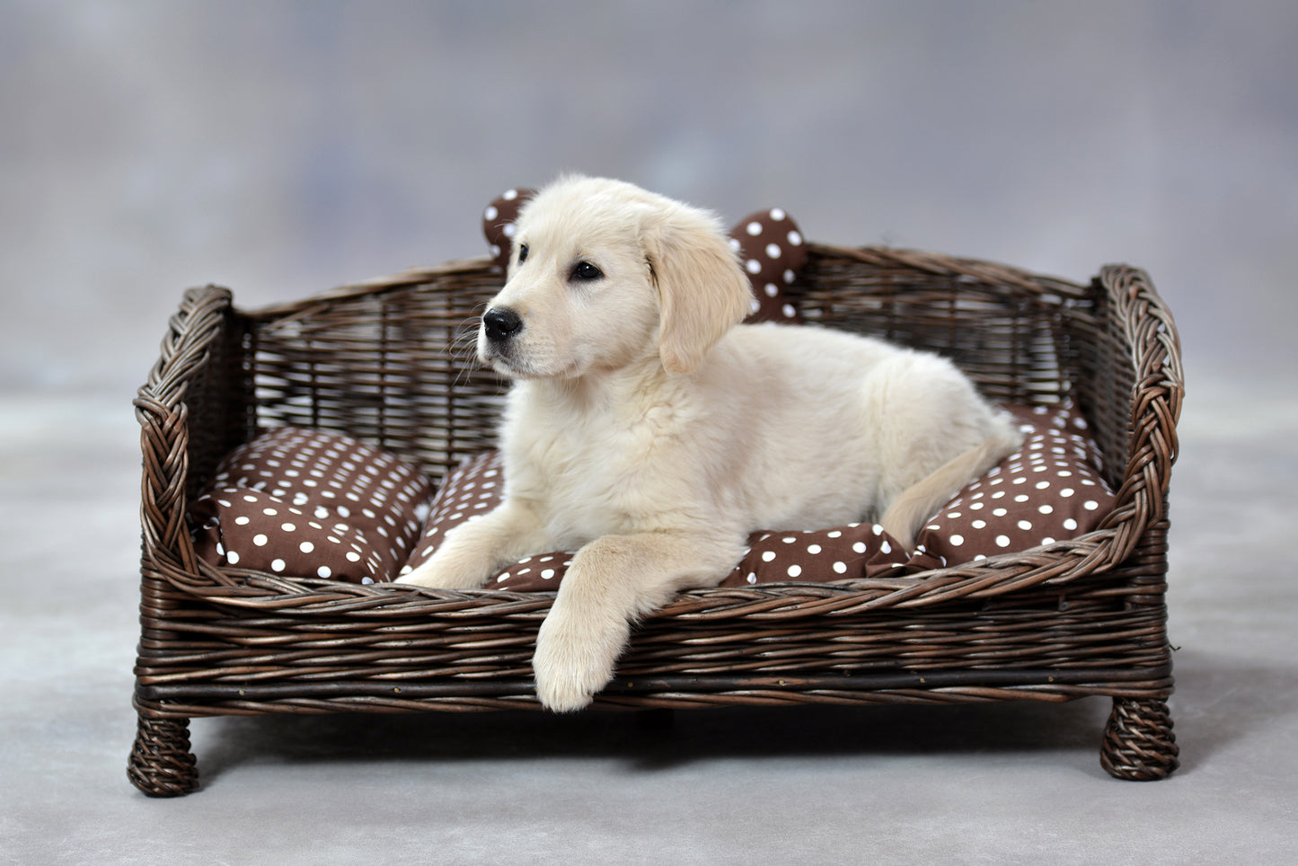 Erivia wiklinowy kosz dla psa i kota z miękką poduszką, niskie wejście TheWickerStories