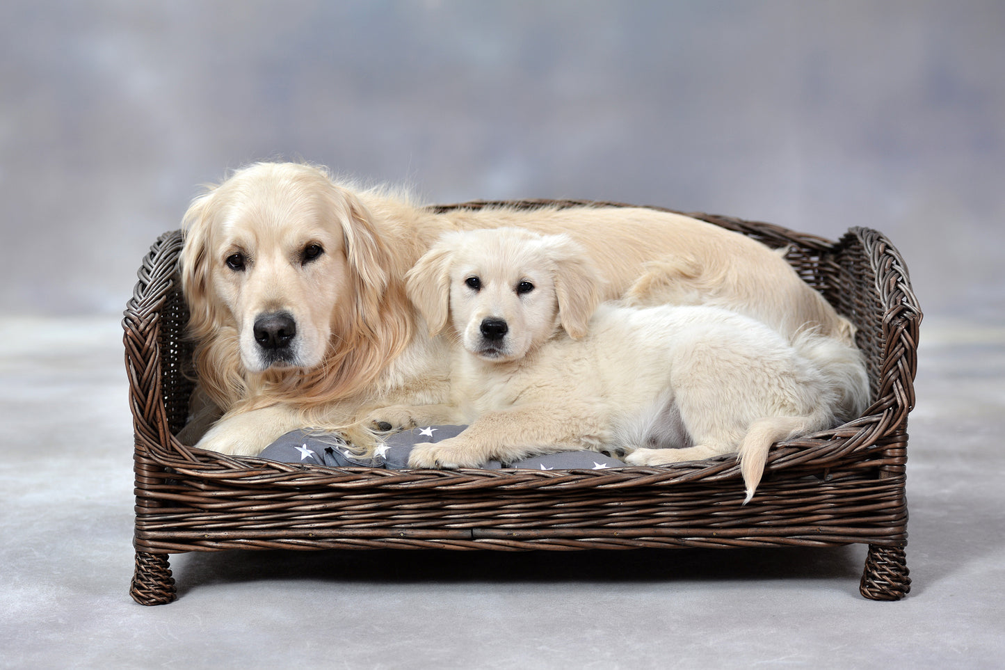 Erivia wiklinowy kosz dla psa i kota z miękką poduszką, niskie wejście TheWickerStories