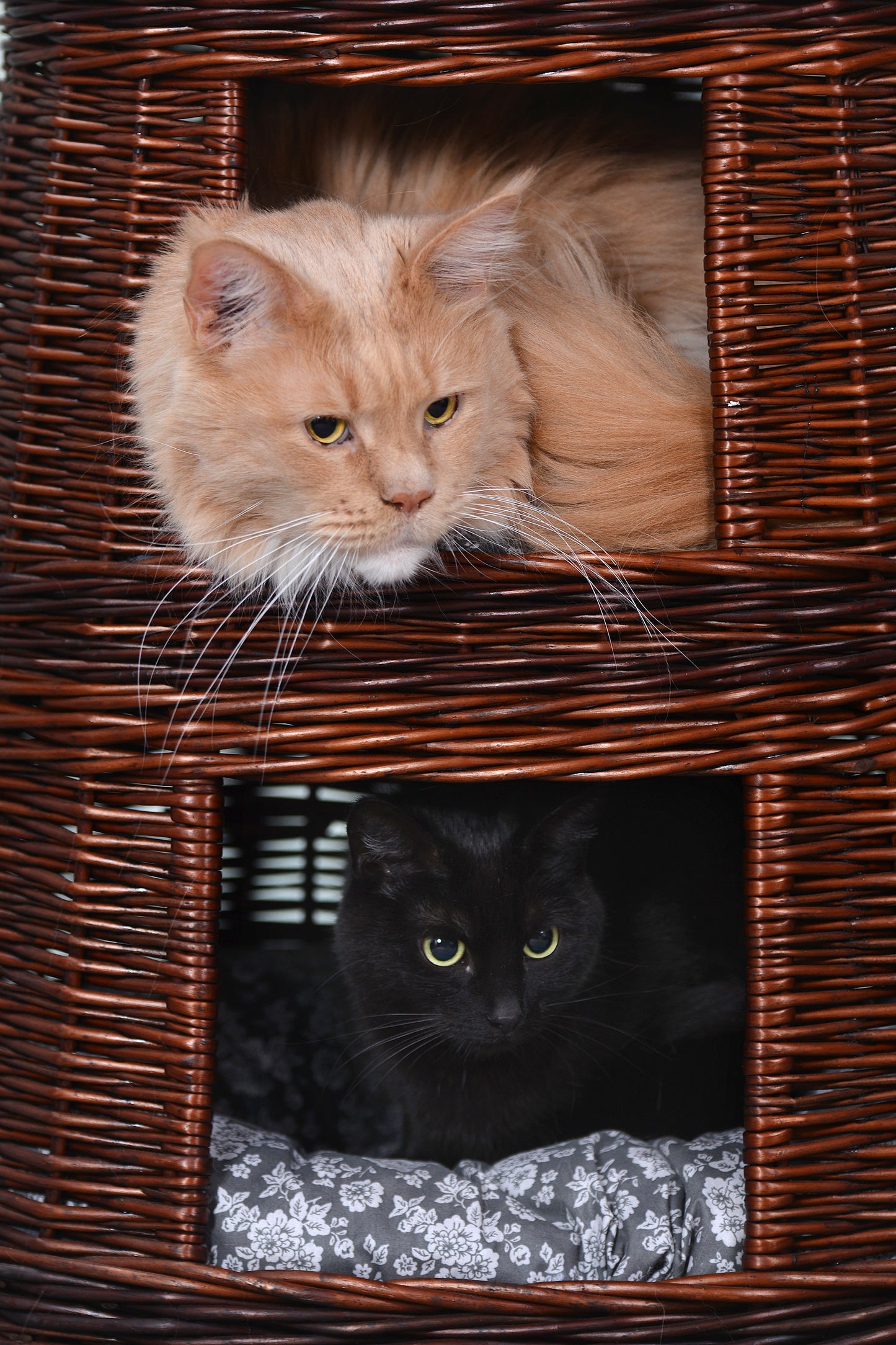 Elnoria wiklinowy kosz dla kota z szarymi poduszkami, trzy poziomy TheWickerStories