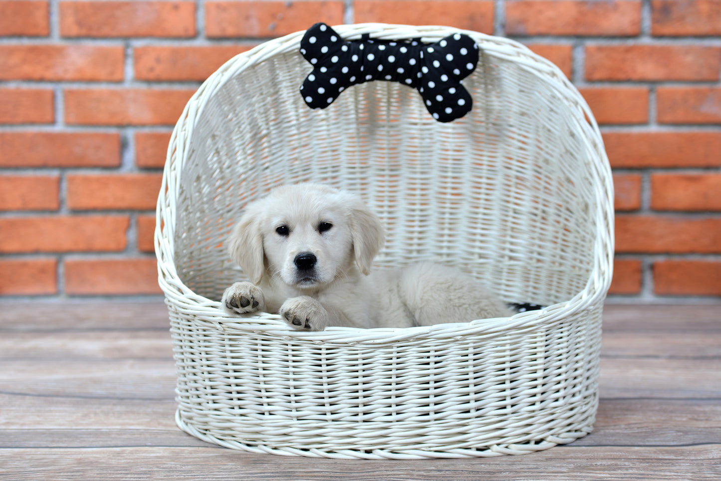 Elsa wiklinowy koszyk legowisko dla zwierząt z czarną poduszką i kokardą TheWickerStories