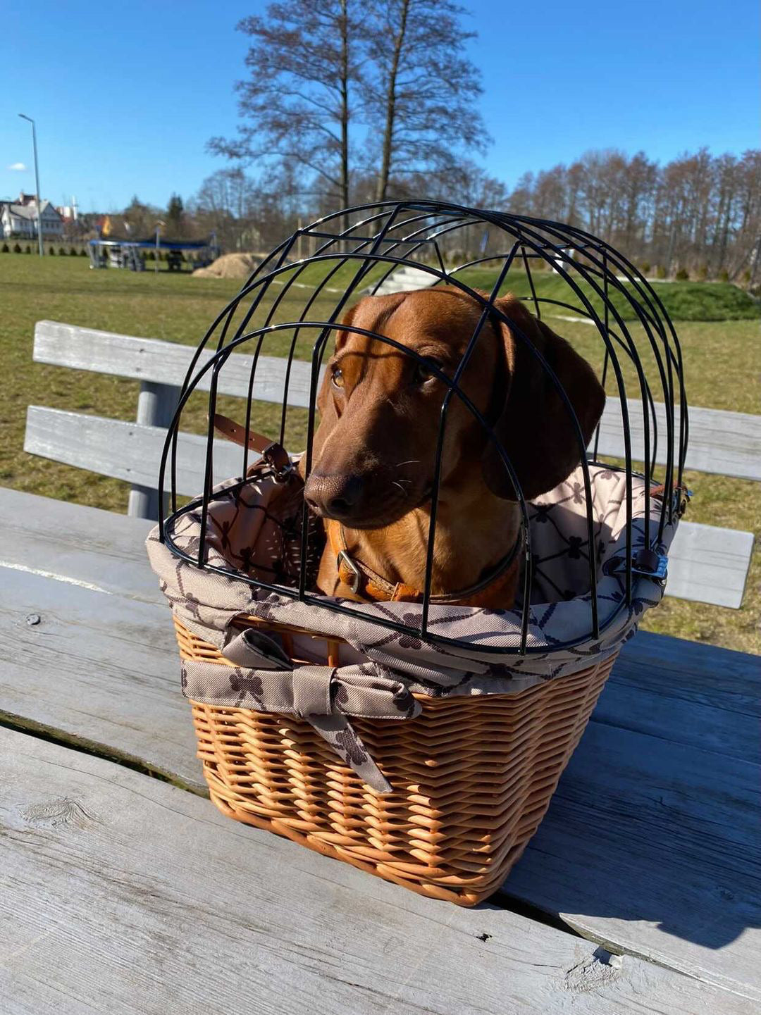 Timoria wiklinowy kosz na rower dla zwierząt z beżowym obszyciem, z pokrywą i skórzanymi paskami TheWickerStories