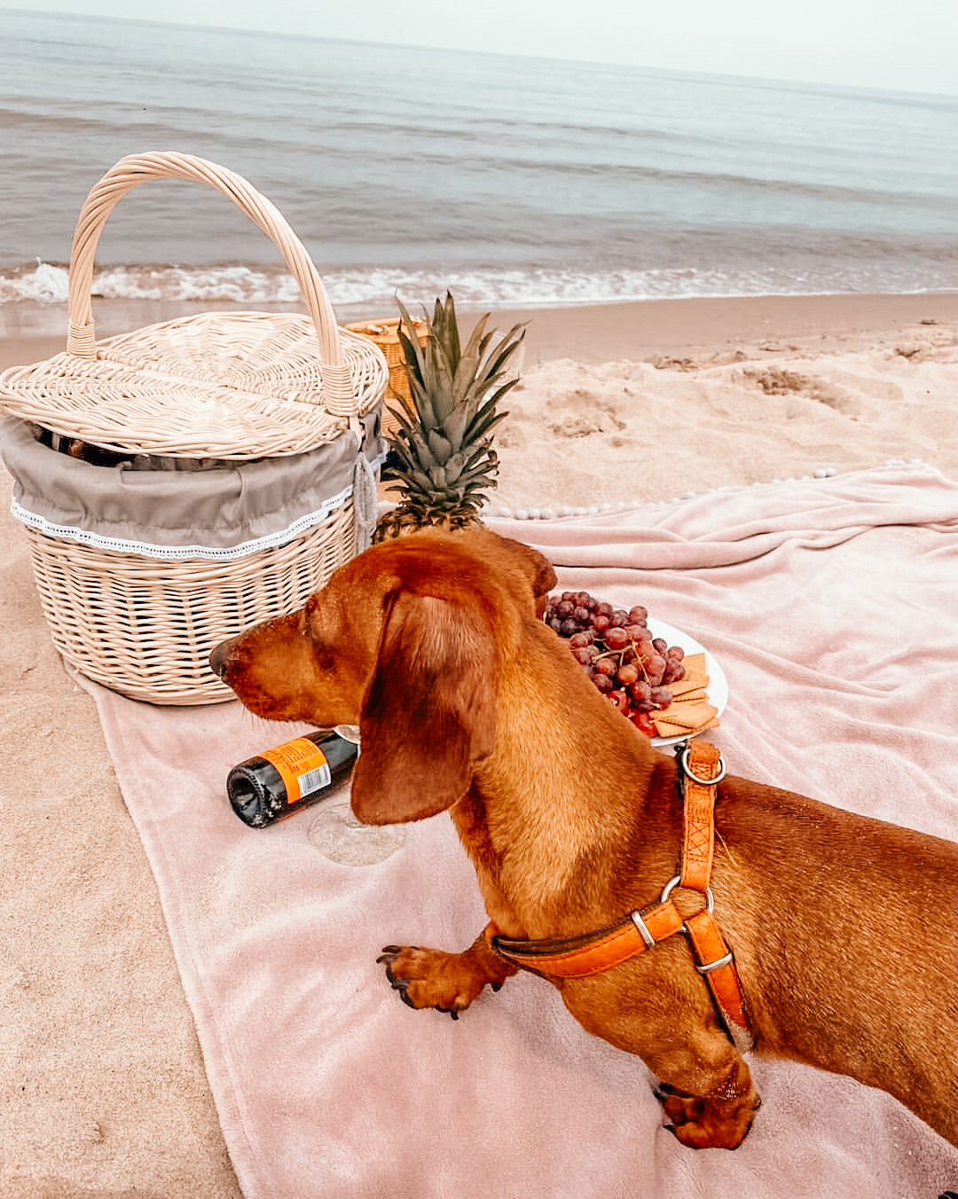 Kastalia wiklinowy koszyk piknikowy z beżowym obszyciem i wiekiem TheWickerStories