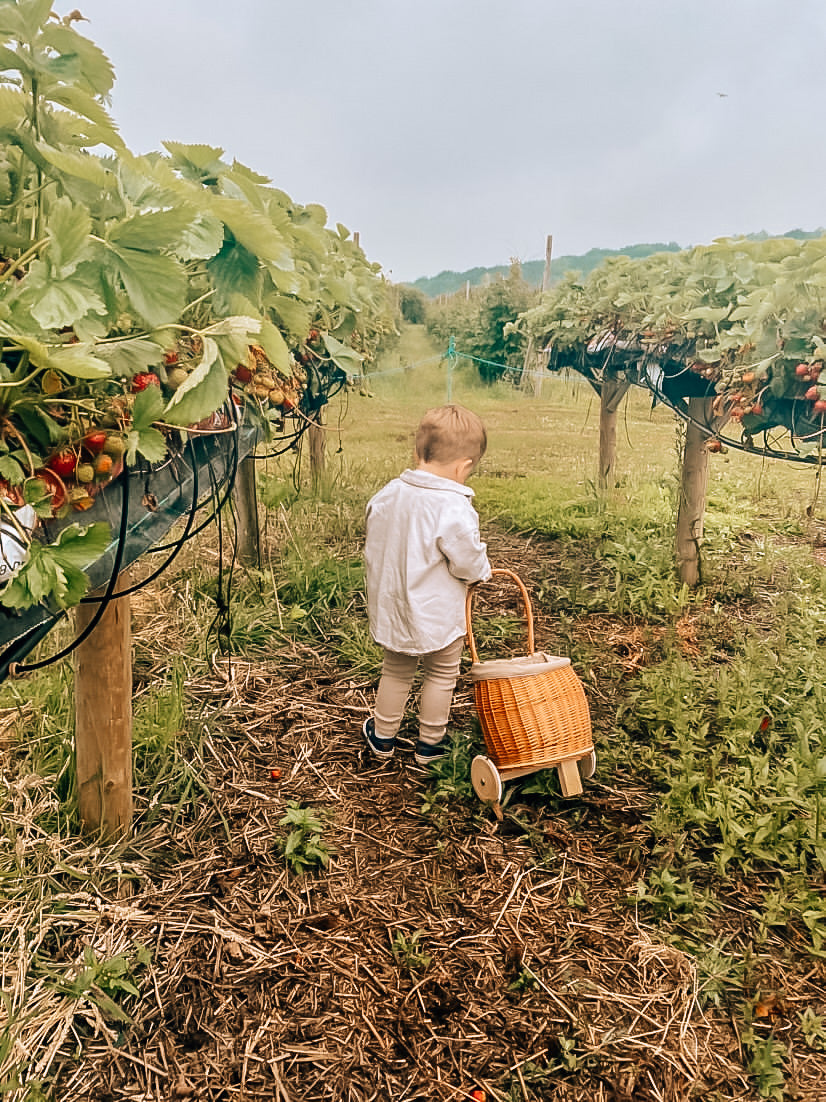 Luke wiklinowy wózek dla dzieci z różowym obszyciem, z rączką i drewnianymi kołami TheWickerStories