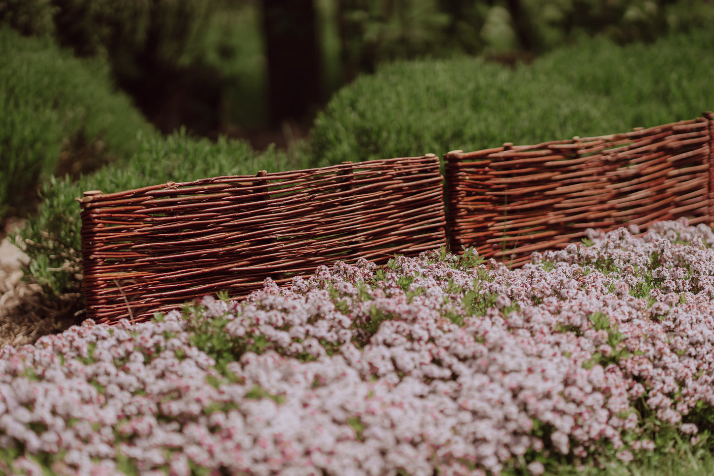 Domitia zestaw 5 palisad wiklinowych do ogrodu TheWickerStories