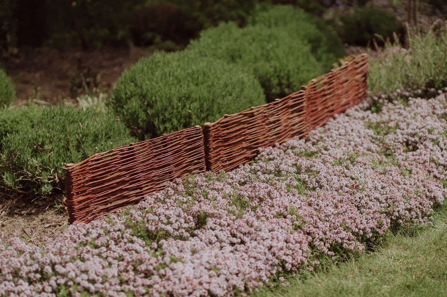 Domitia zestaw 5 palisad wiklinowych do ogrodu TheWickerStories