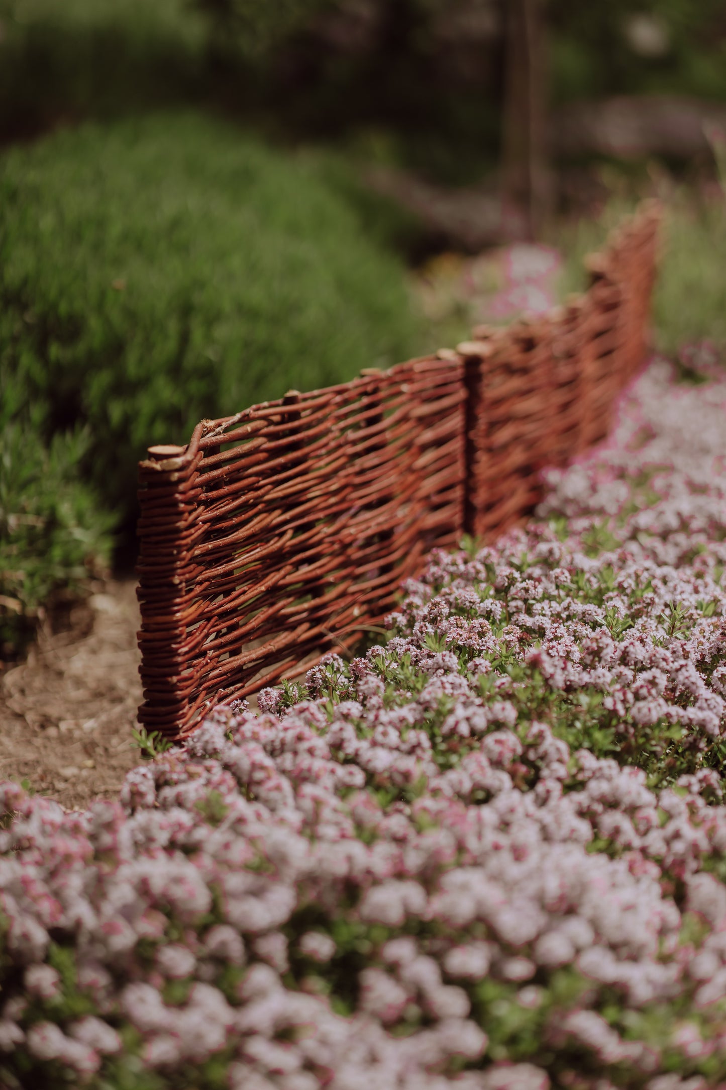 Domitia zestaw 5 palisad wiklinowych do ogrodu TheWickerStories