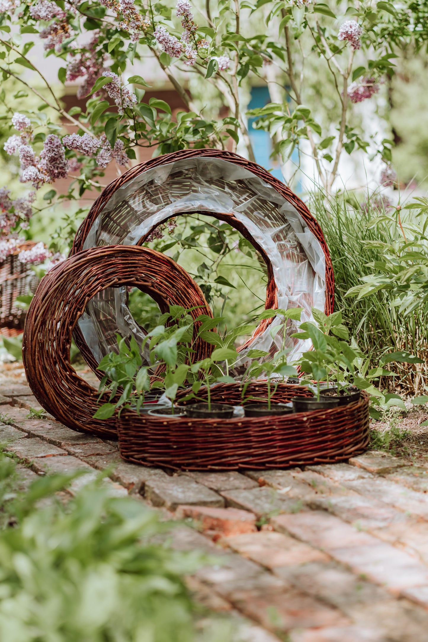 Pallados wiklinowy zestaw 3 koszyków doniczek z obszyciem TheWickerStories