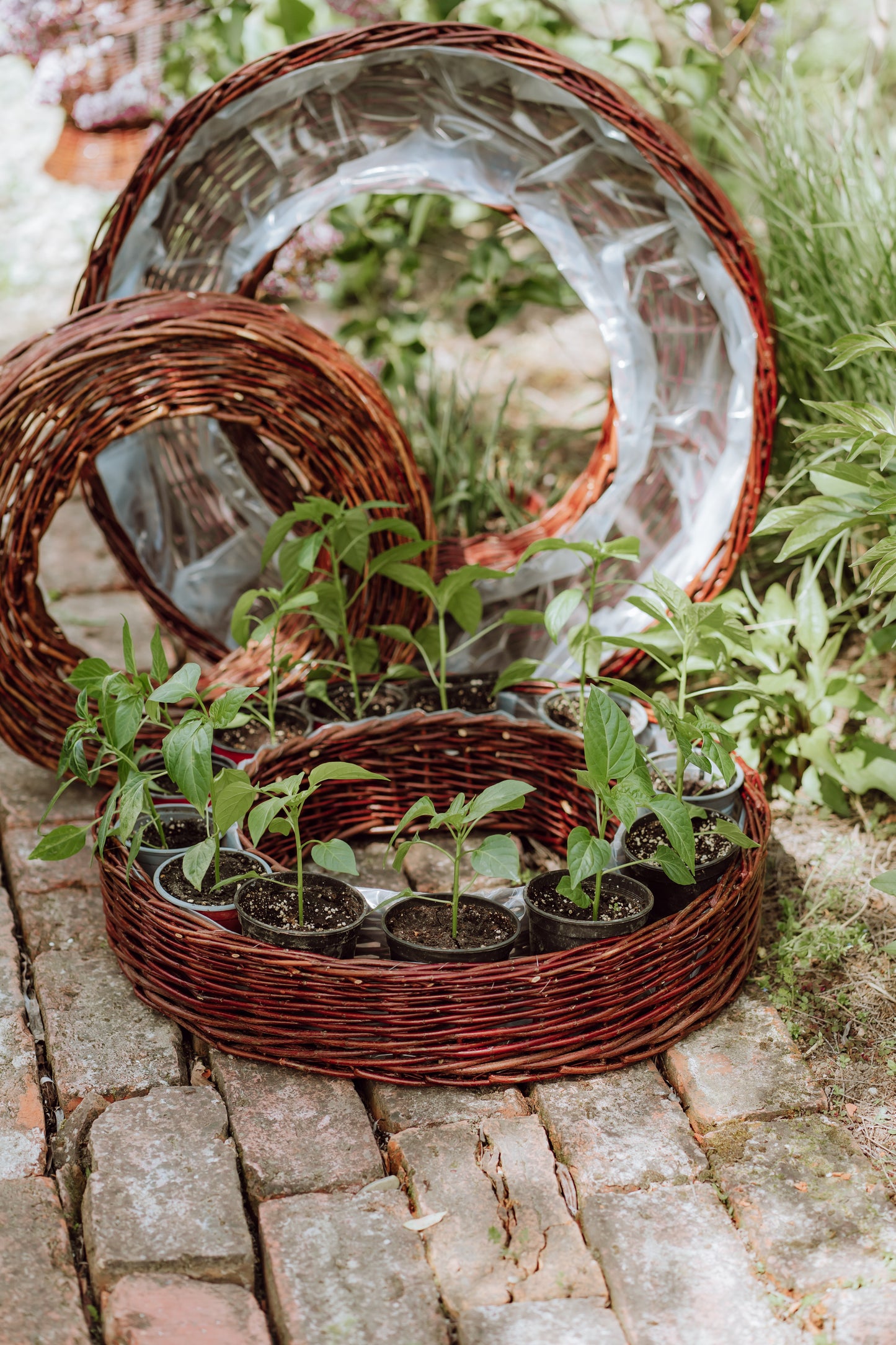 Pallados wiklinowy zestaw 3 koszyków doniczek z obszyciem TheWickerStories
