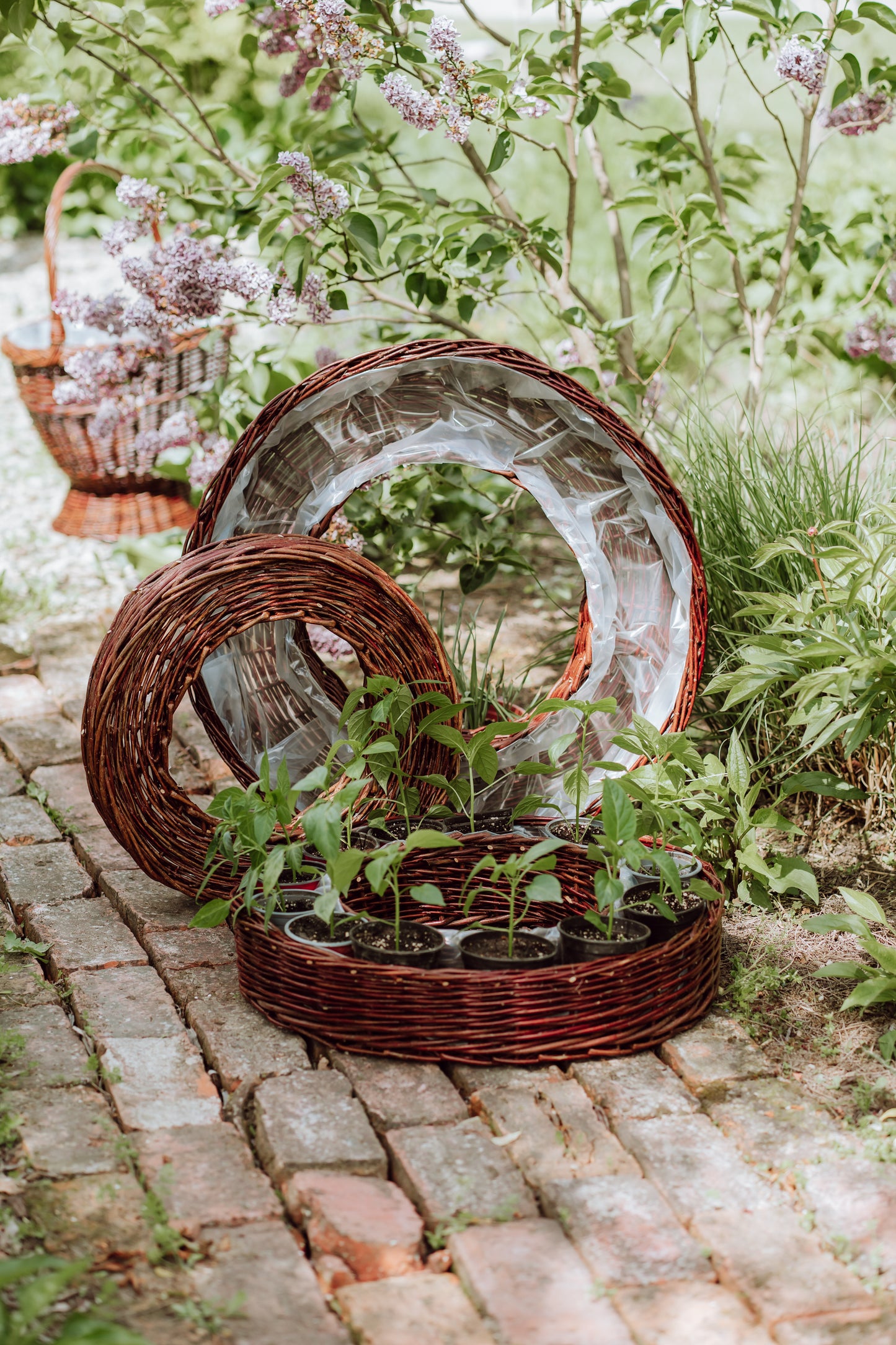 Pallados wiklinowy zestaw 3 koszyków doniczek z obszyciem TheWickerStories