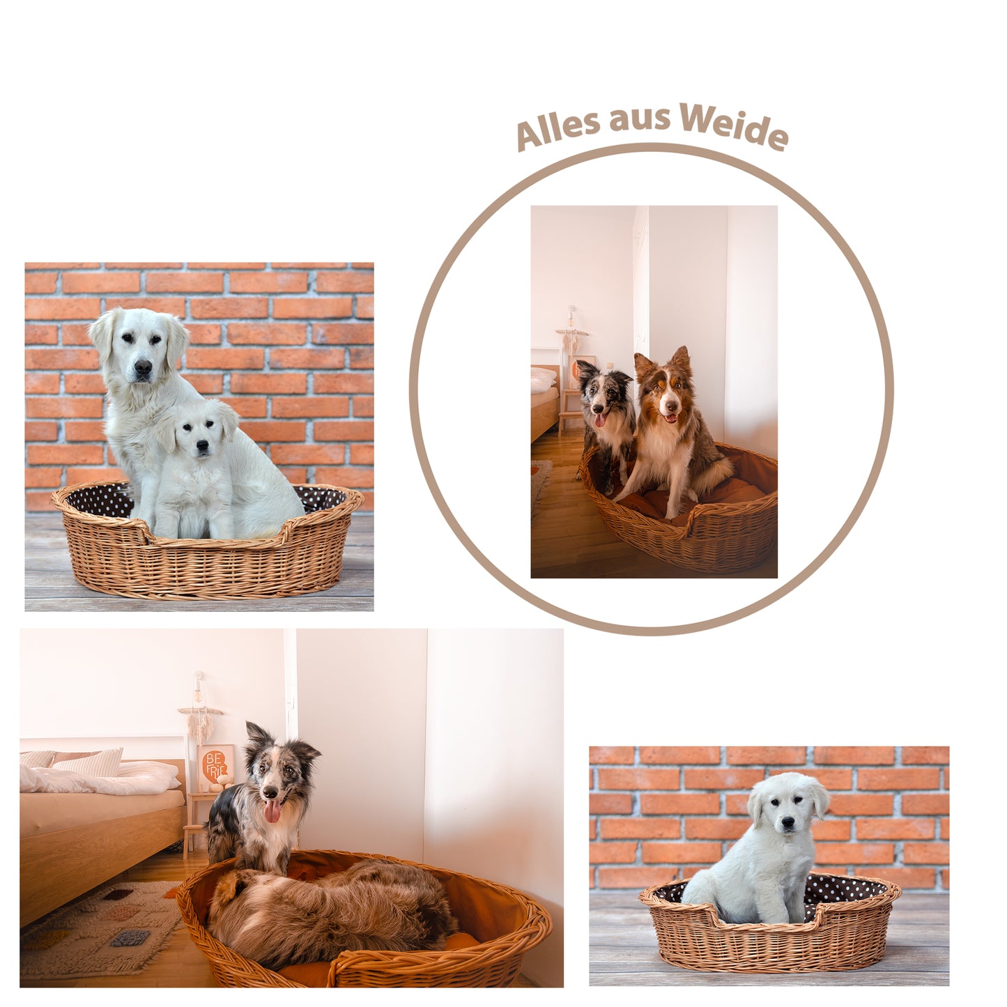 Esmira wiklinowy kosz dla psa i kota z brązową poduszką TheWickerStories