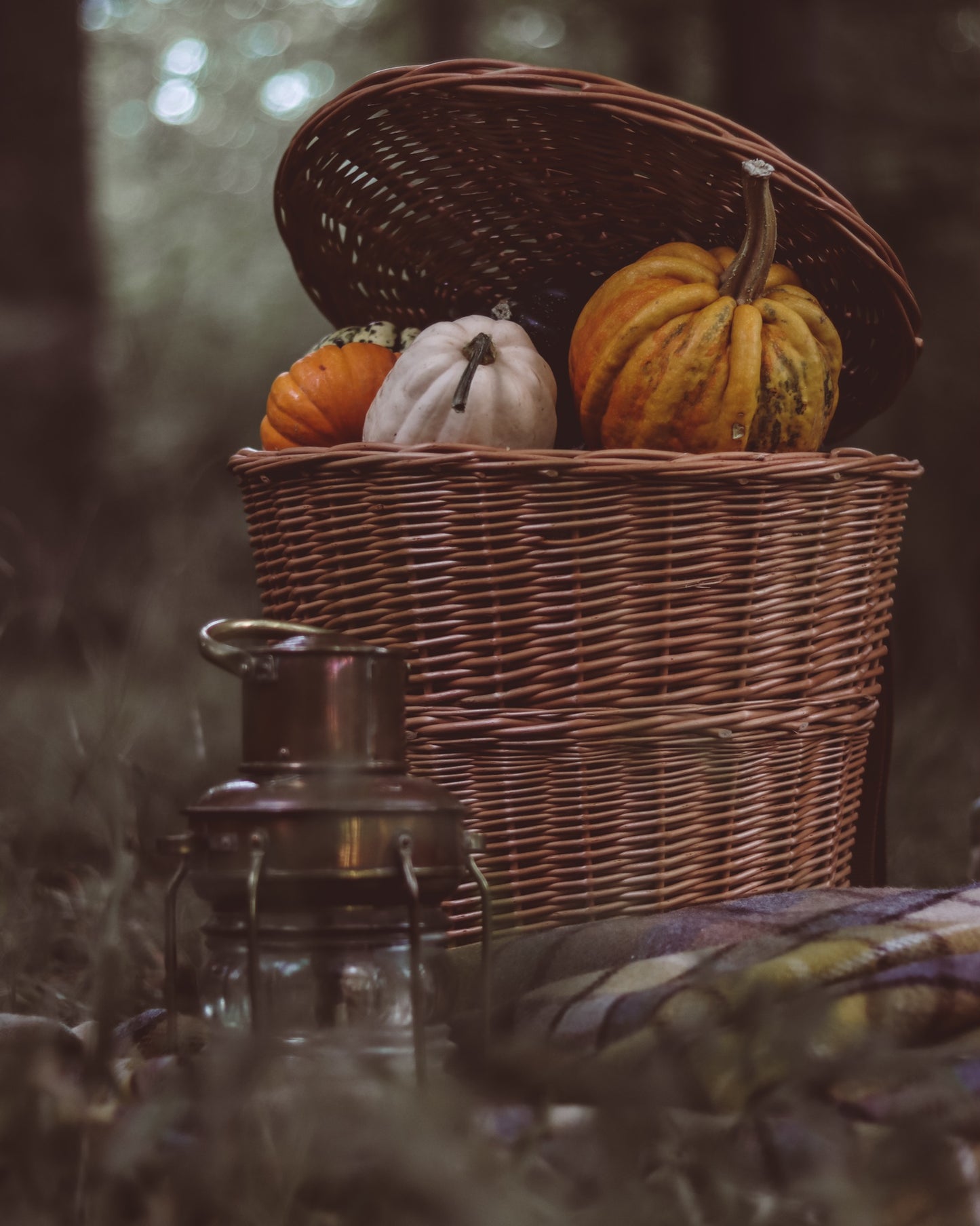 Sirellius wiklinowy plecak z brązowym obszyciem, paskami i wiekiem TheWickerStories