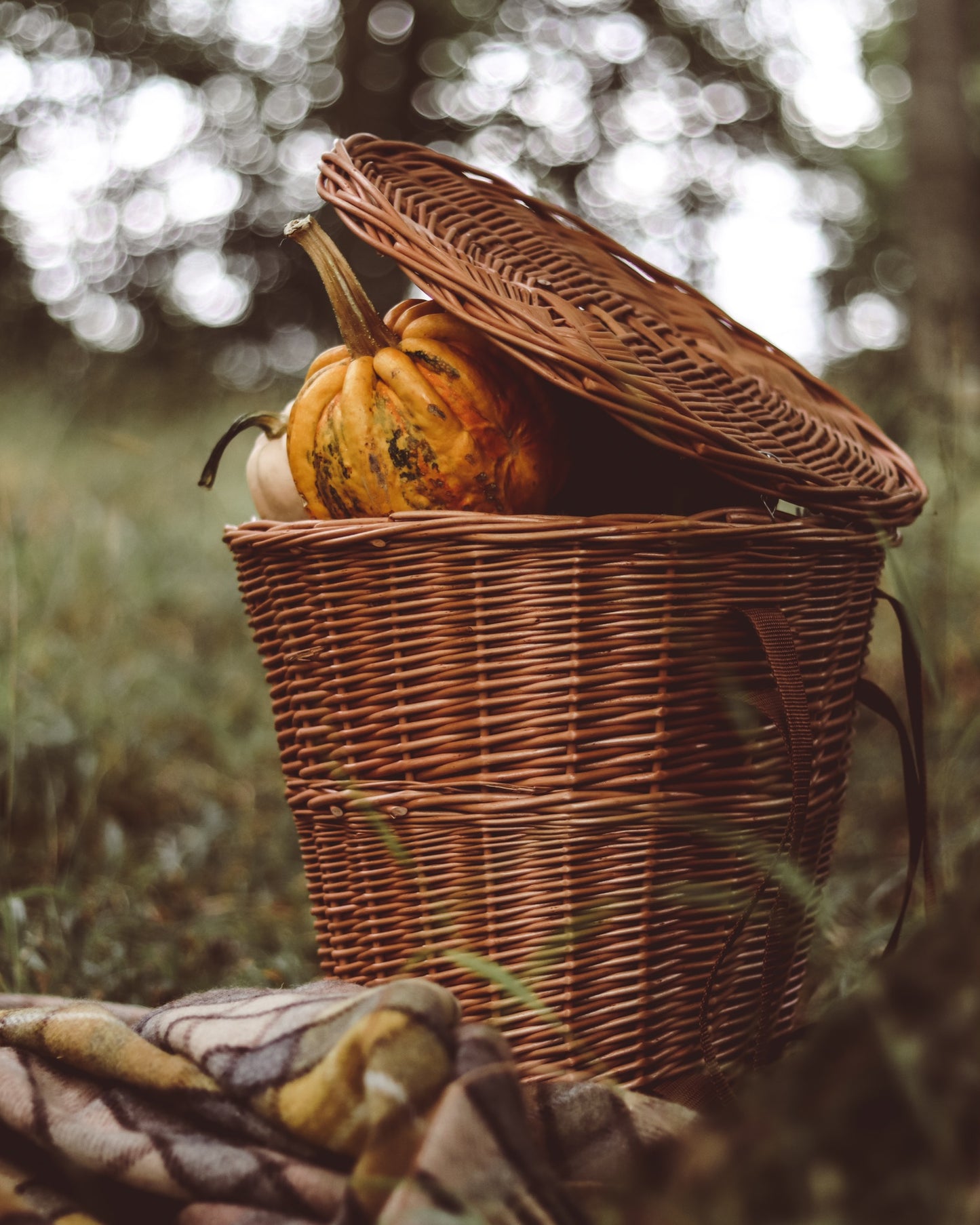 Sirellius wiklinowy plecak z brązowym obszyciem, paskami i wiekiem TheWickerStories