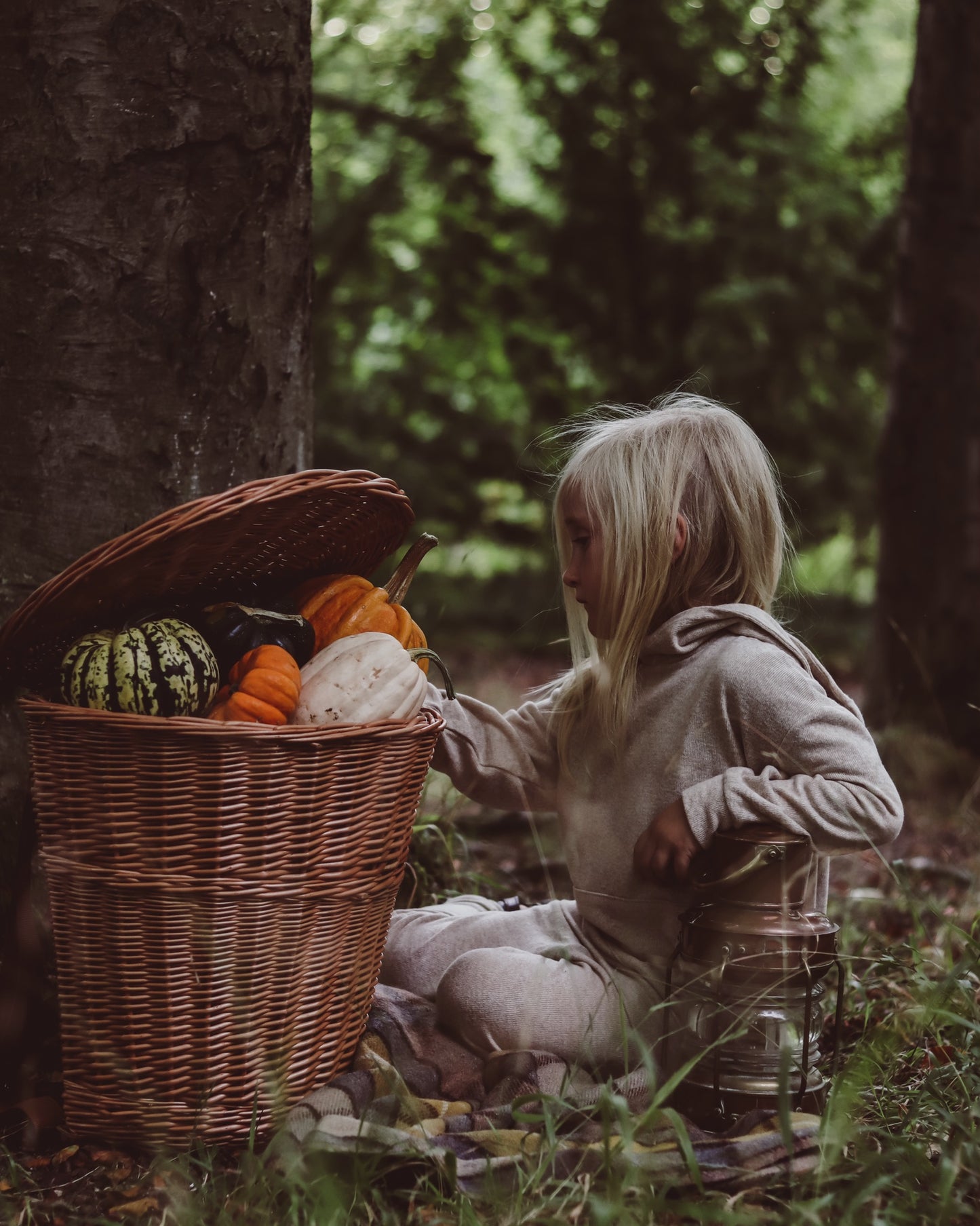 Sirellius wiklinowy plecak z brązowym obszyciem, paskami i wiekiem TheWickerStories