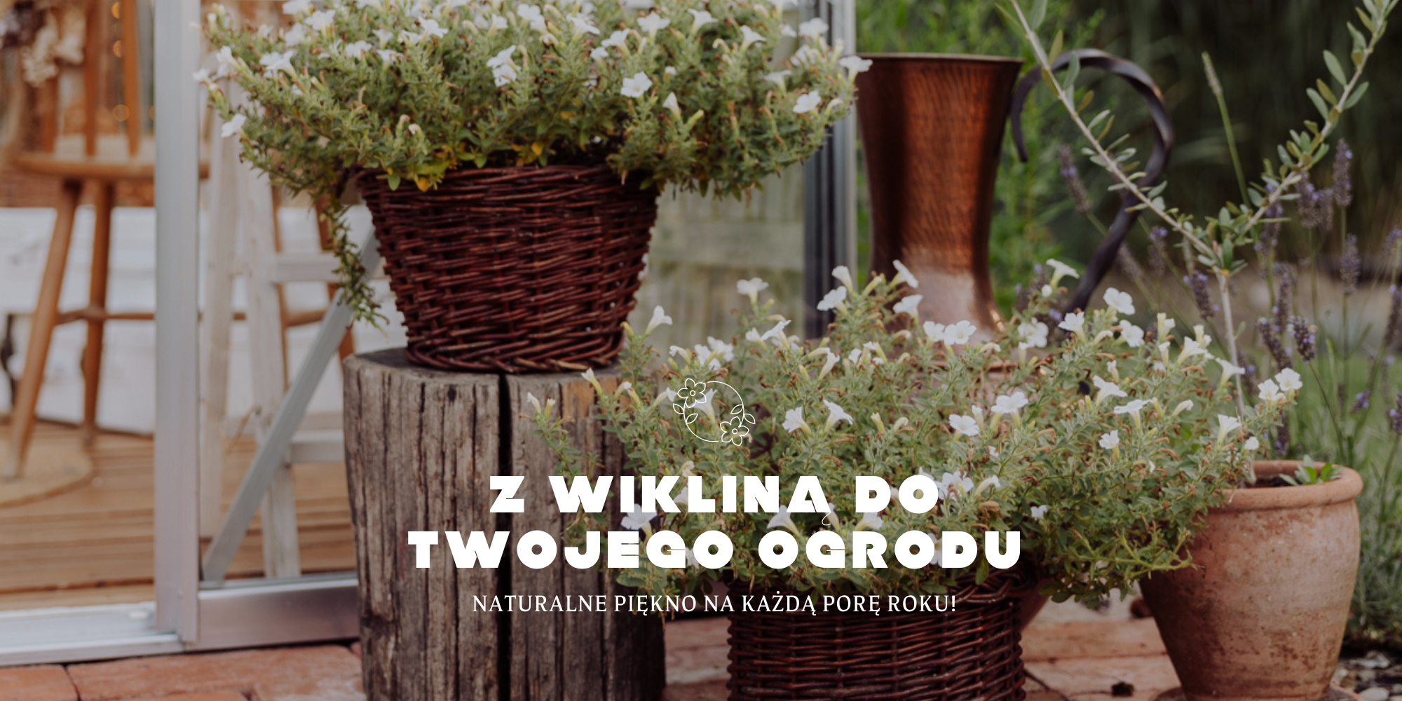 Z wikliną do Twojego ogrodu