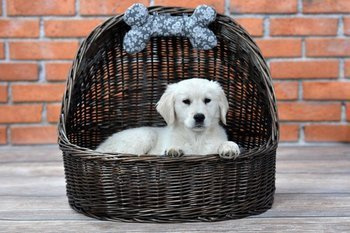 ELSA PET OVAL WICKER BASKET CAT OR DOG ROOFED BASKET WITH PILLOW 60X46 H16/48 CM
