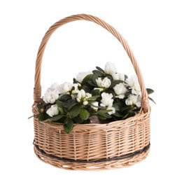 round wicker basket gift basket with handle decorative handmade in 4 sizes