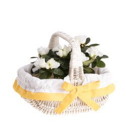 Decor WHITE WASH WICKER SMALL EASTER BASKET LINED 24X16 H14 CM