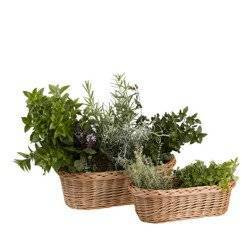 PANIER DE PAIN OVALE EN OSIER NATUREL 35X17 H11 CM