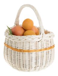 Einkaufskorb aus Weide, Weidenkorb in weiβ 31x31 H25/40 cm